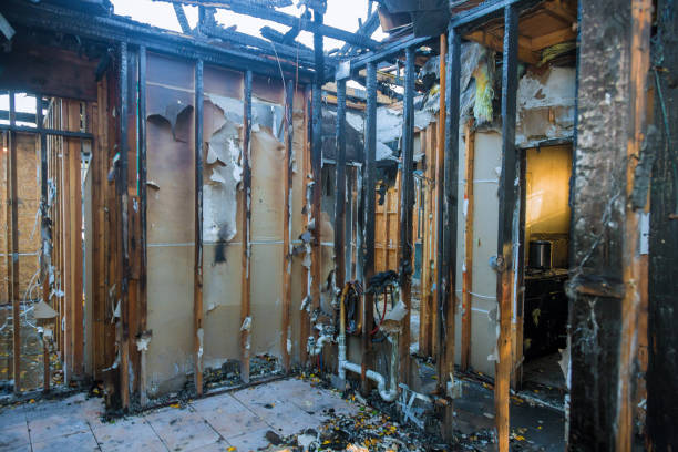 Professional Fire Damage Removal technician working in Old Fig Garden, CA